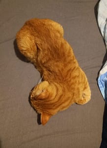 [Justine CM] Auron, mon chat tigré roux, qui dort dans une drôle de position (tout de travers, les pattes repliées contre lui).