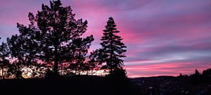 [Justine CM] Soleil couchant, avec un ciel assez rose, parcourus de nuages bleus gris. Au loin, une bande jaune. Des arbres cachent un peu la vue.