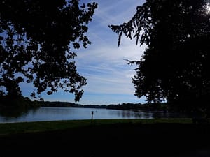 [Justine CM] Ciel bleu parcouru d'un voile blanc par endroits, encadré par deux arbres au bord d'un étang (Étang des Forges, Belfort).