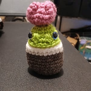 Dinulipe, le petit dino cactus avec sa petite tulipe rose sur la tête