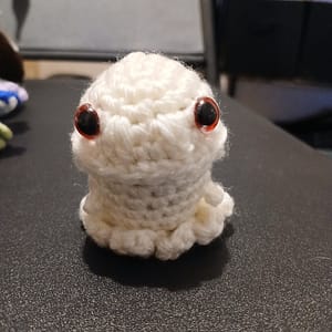 Dinonoupus, le petit dinonopus fantome.