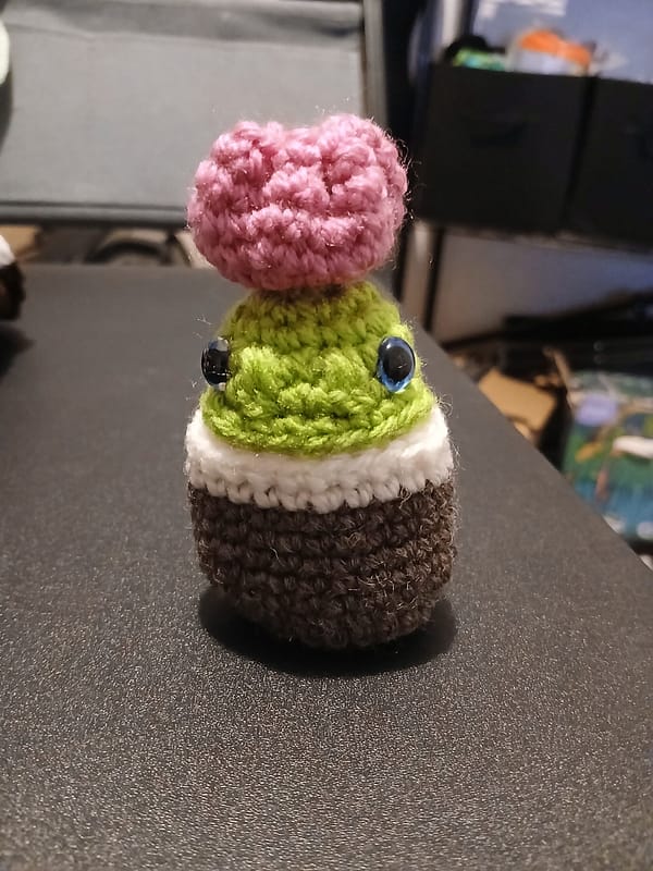 Dinulipe, le petit dino cactus avec sa petite tulipe rose sur la tête